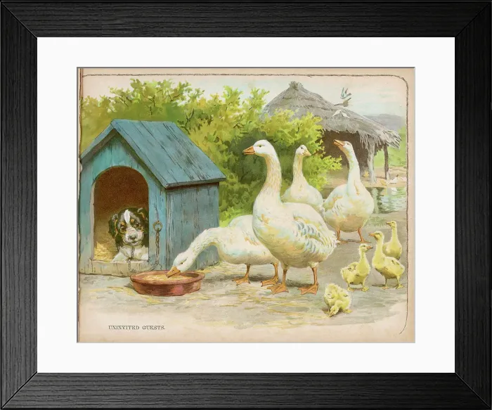 Framed Print : Geese and Dog Framed Print : Geese and Dog
