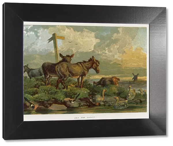 Donkeys  /  Meadow 1862