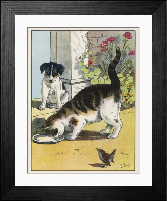 Framed Print : Dog Sees Cat Drink Milk Framed Print : Dog Sees Cat Drink Milk