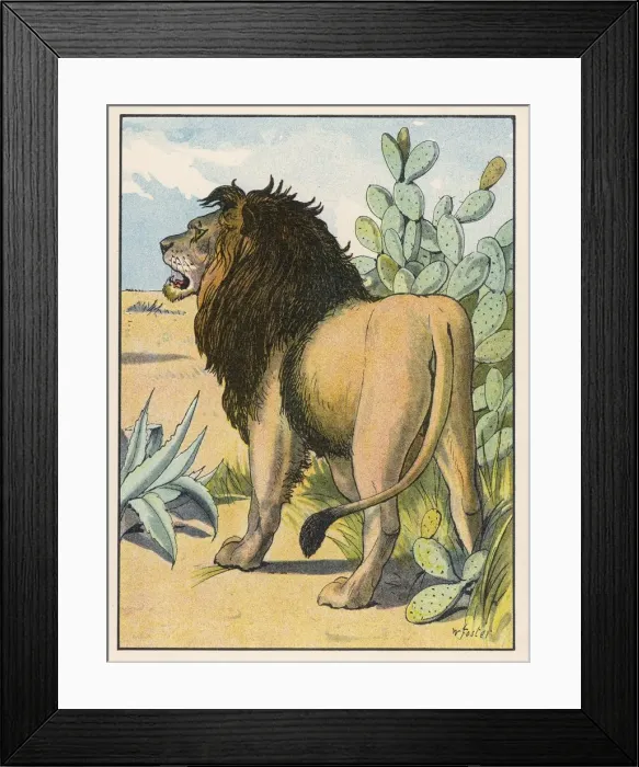 Framed Print : Lion in the Desert Framed Print : Lion in the Desert
