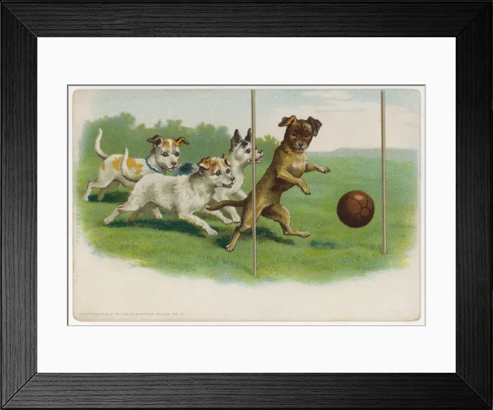 Framed Print : Dogs Playing Football Framed Print : Dogs Playing Football