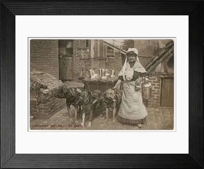 Framed Print : Dogs Pulling Milk Cart Framed Print : Dogs Pulling Milk Cart
