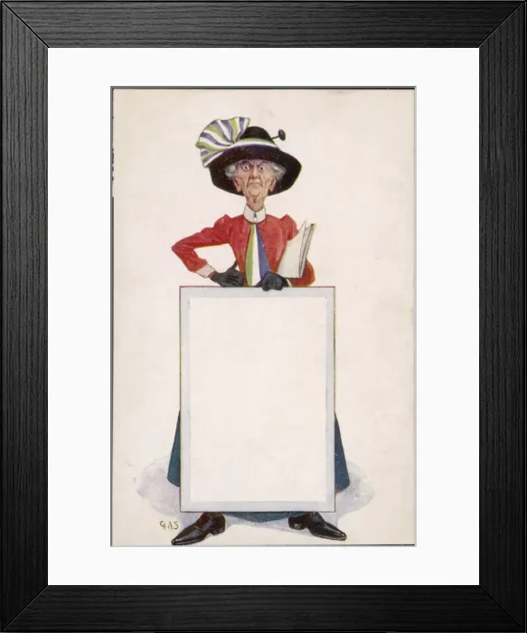 Framed Print : All-Purpose Feminist Framed Print : All-Purpose Feminist