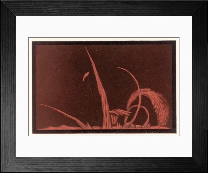 Framed Print : Solar Flares Framed Print : Solar Flares