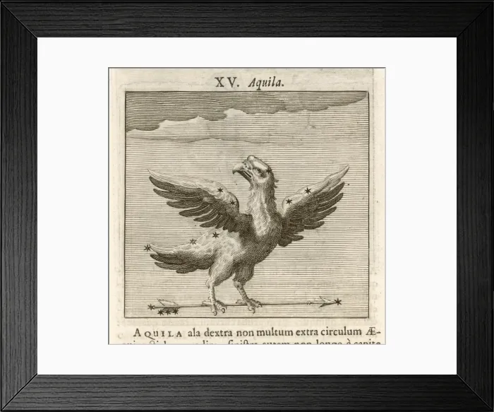 Framed Print : AQUILA 1681 Framed Print : AQUILA 1681
