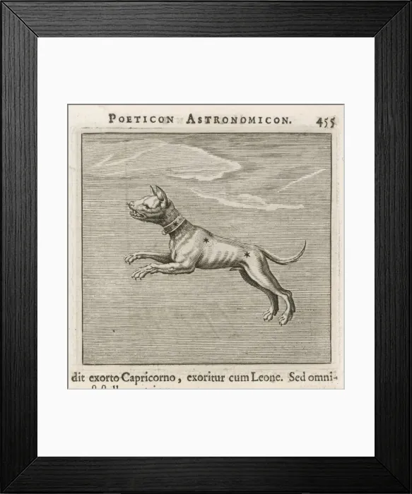 Framed Print : Hyginus / Canis Minor Framed Print : Hyginus / Canis Minor