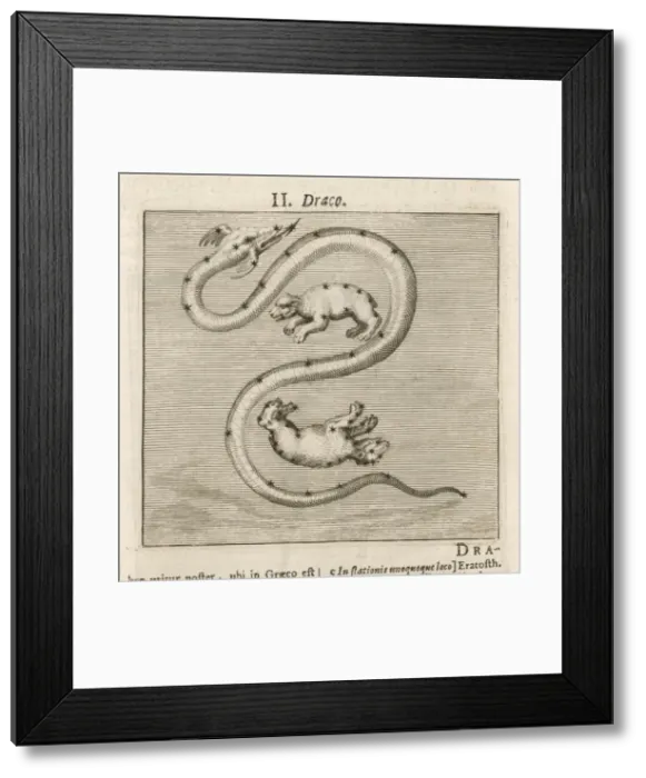 Framed Print : Hyginus / Draco Framed Print : Hyginus / Draco