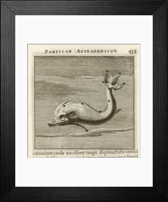 Framed Print : Hyginus / Delphin Framed Print : Hyginus / Delphin