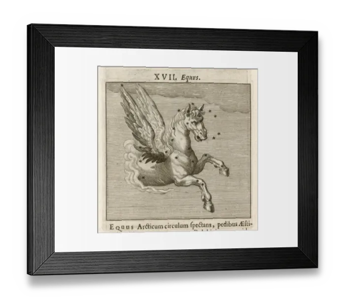 Framed Print : Hyginus / Equus Framed Print : Hyginus / Equus