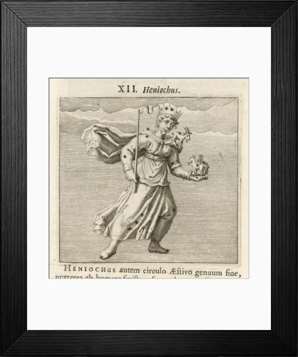 Framed Print : Hyginus / Heniochus Framed Print : Hyginus / Heniochus
