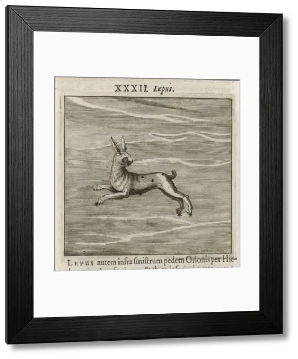 Framed Print : Hyginus / Lepus Framed Print : Hyginus / Lepus
