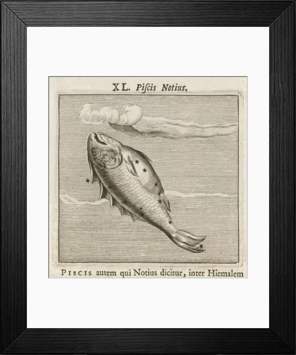 Framed Print : Hyginus / Piscis Notius Framed Print : Hyginus / Piscis Notius