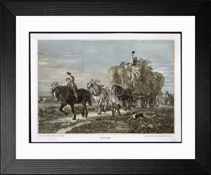 Framed Print : Hopkins / Seasons / Autumn Framed Print : Hopkins / Seasons / Autumn