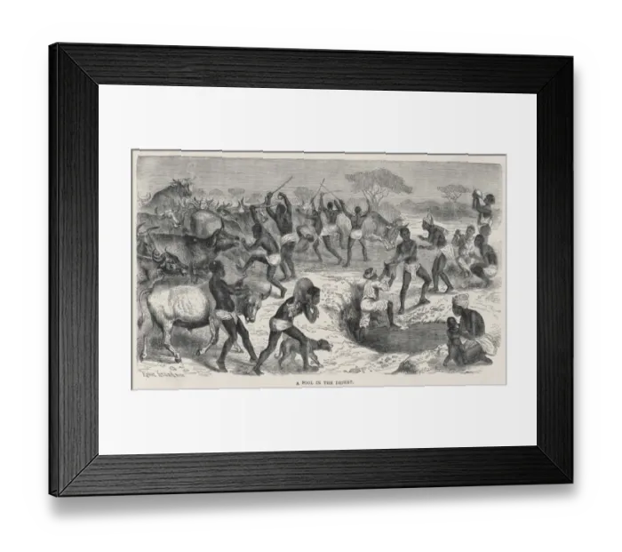 Framed Print : Oasis, Central Africa