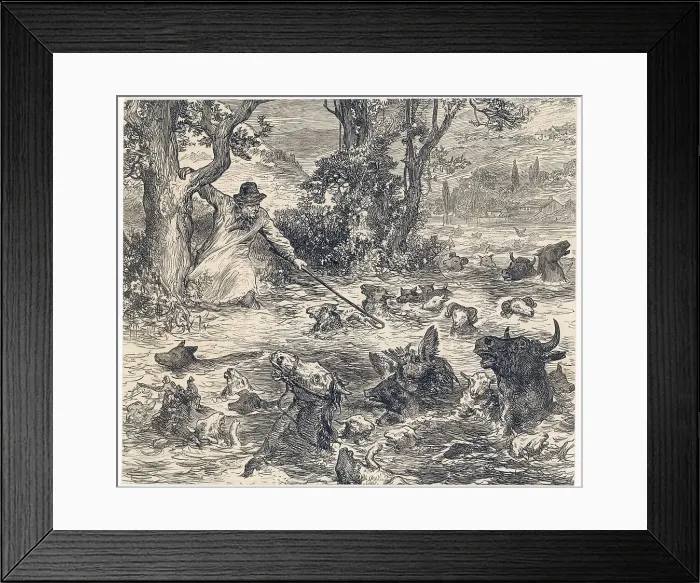 Framed Print : Animals in Flood Framed Print : Animals in Flood