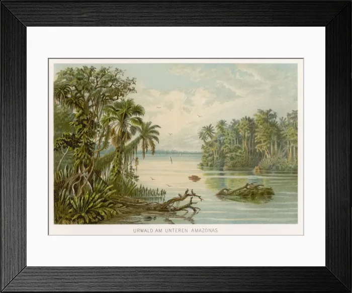 Framed Print : Brazil / Amazon C1890 Framed Print : Brazil / Amazon C1890