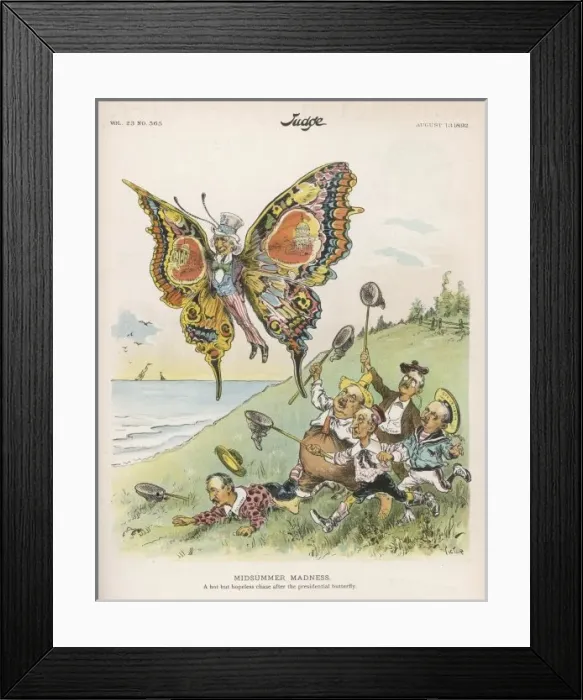 Framed Print : Presidential Butterfly Framed Print : Presidential Butterfly