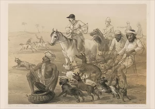 Country Hunt in India