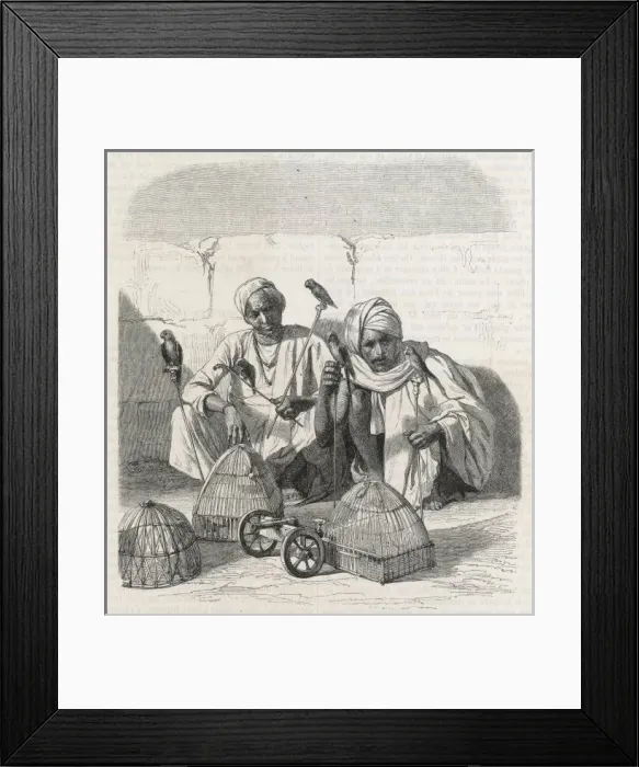 Framed Print : Selling Clever Birds Framed Print : Selling Clever Birds