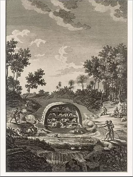 Hunting Beaver 1770