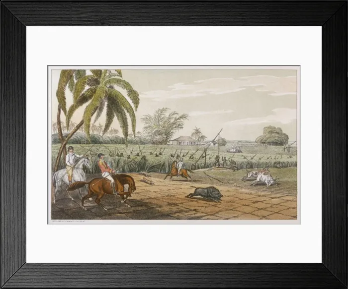 Framed Print : Hunting Boar 1807 Framed Print : Hunting Boar 1807