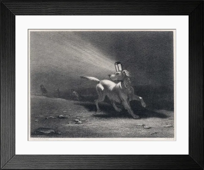 Framed Print : Poachers Dog Decoy Framed Print : Poachers Dog Decoy
