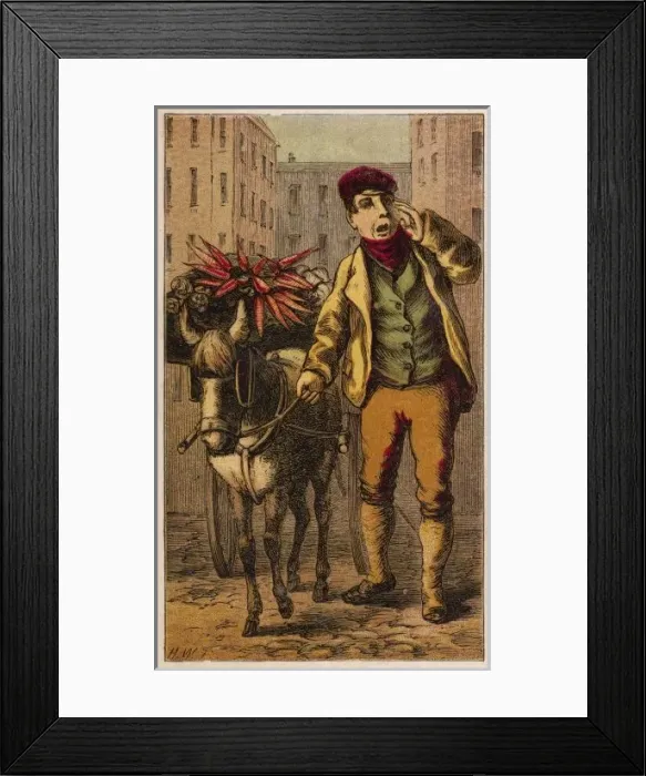 Framed Print : Occupation / Costermonger Framed Print : Occupation / Costermonger