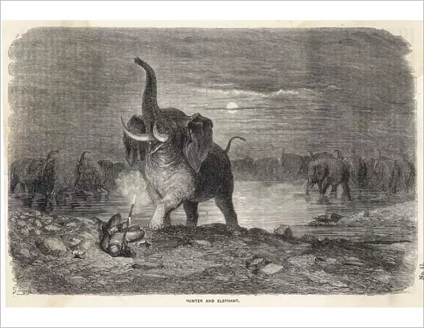 Elephant Hunt (Dore)