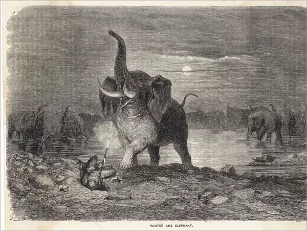 Elephant Hunt (Dore)