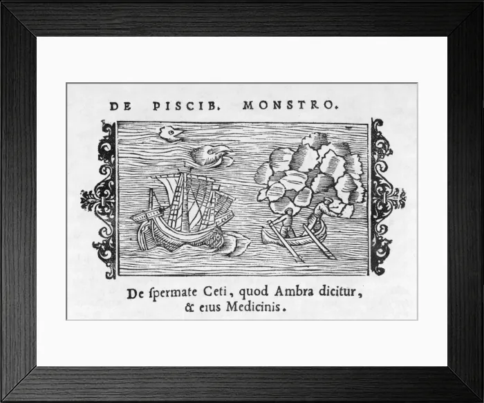 Framed Print : Whaling Scene 1555 Framed Print : Whaling Scene 1555
