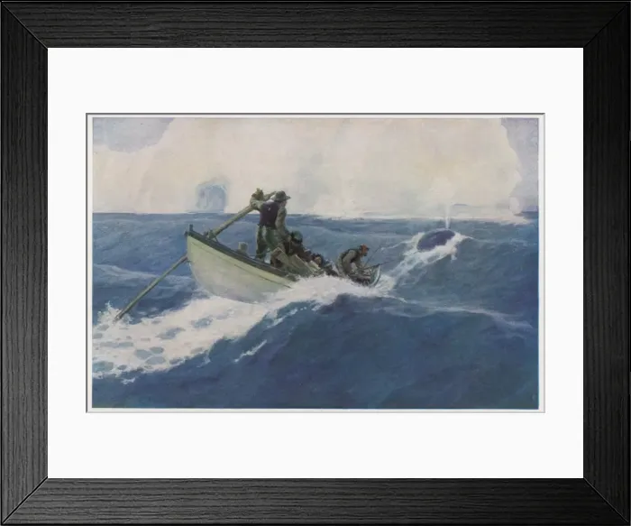Framed Print : Chasing Bow-Head Whale Framed Print : Chasing Bow-Head Whale