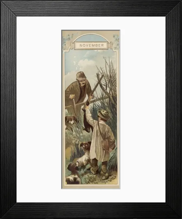 Framed Print : Rabbit Shot Framed Print : Rabbit Shot