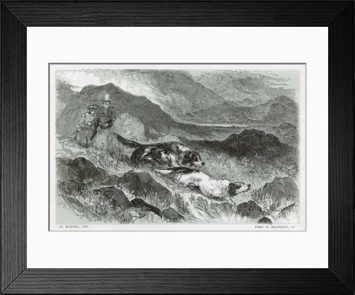 Framed Print : Shooting Grouse (Harvey) Framed Print : Shooting Grouse (Harvey)
