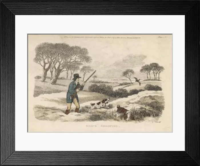 Framed Print : Snipe Shooting 1810 Framed Print : Snipe Shooting 1810