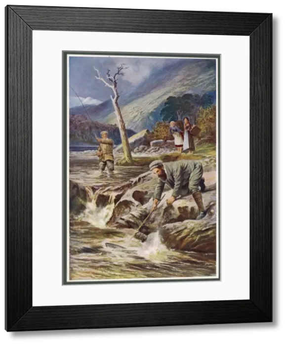 Framed Print : Salmon Fishing / Scotland Framed Print : Salmon Fishing / Scotland