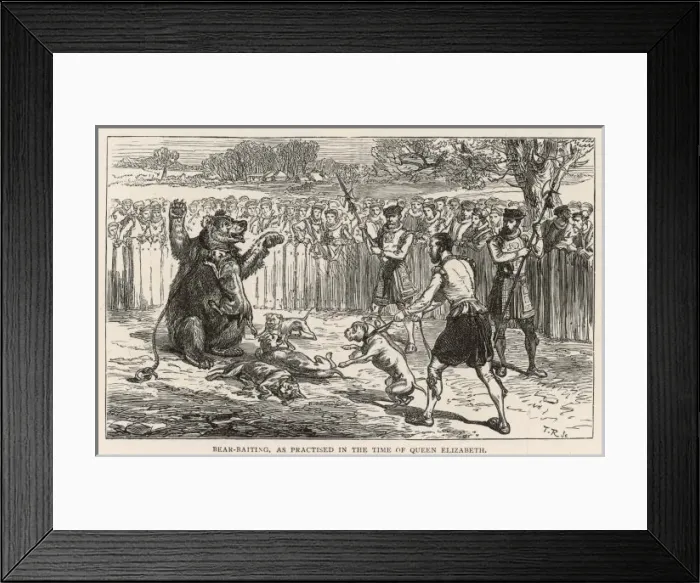 Framed Print : Bear Baiting C 16 Framed Print : Bear Baiting C 16