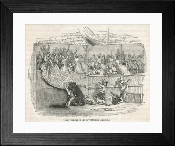 Framed Print : Bear Baiting C 17 Framed Print : Bear Baiting C 17