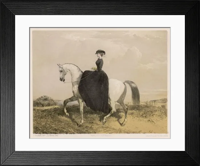Framed Print : Lady Rider - the Walk Framed Print : Lady Rider - the Walk