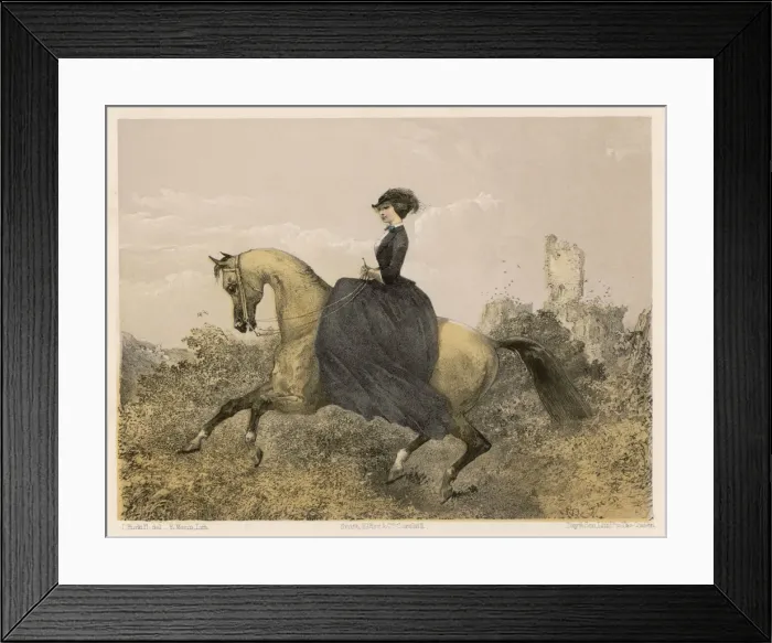 Framed Print : Lady Rider - the Canter Framed Print : Lady Rider - the Canter