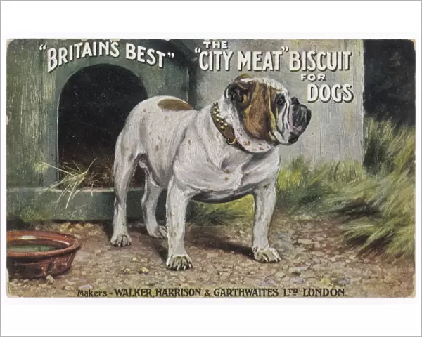 City Meat Dog Biscuit Ad