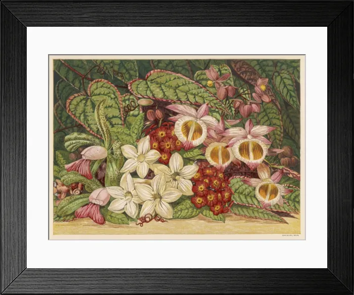 Framed Print : Summer Flowers 1866 Framed Print : Summer Flowers 1866