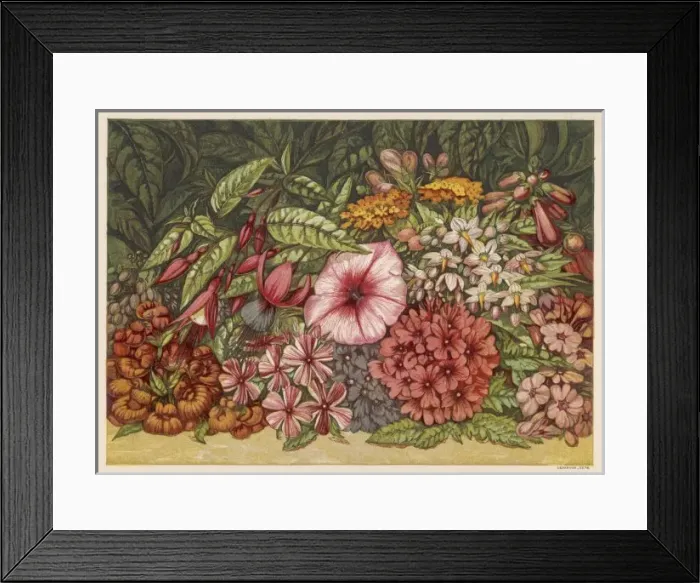 Framed Print : Autumn Flowers 1866 Framed Print : Autumn Flowers 1866