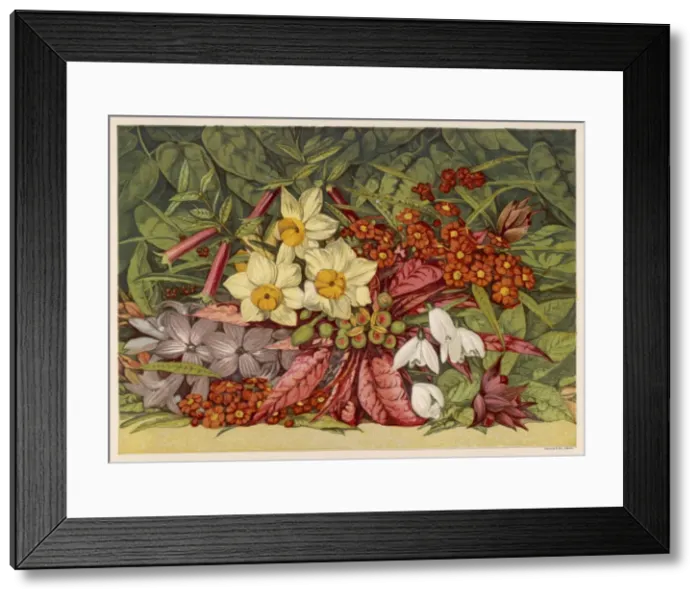 Framed Print : Winter Flowers 1866 Framed Print : Winter Flowers 1866