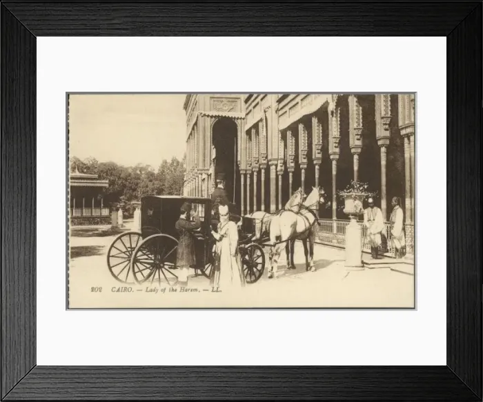 Framed Print : Social / Cairo Harem 1905 Framed Print : Social / Cairo Harem 1905