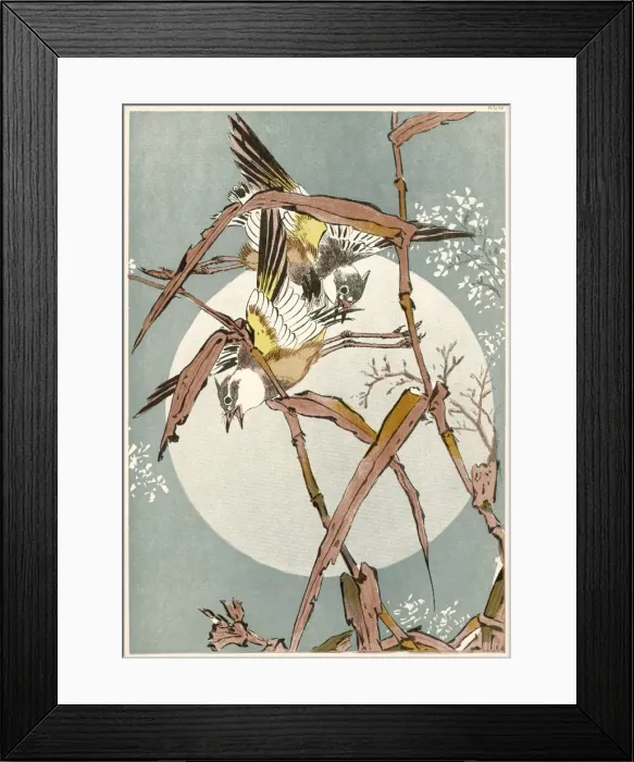 Framed Print : Japanese Garden Warblers Framed Print : Japanese Garden Warblers