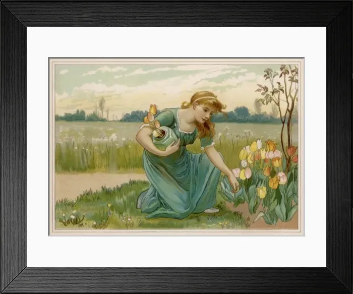 Framed Print : Girl Picks Tulips C1880 Framed Print : Girl Picks Tulips C1880