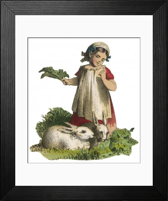 Framed Print : Girl Feeds Rabbits 1830S Framed Print : Girl Feeds Rabbits 1830S