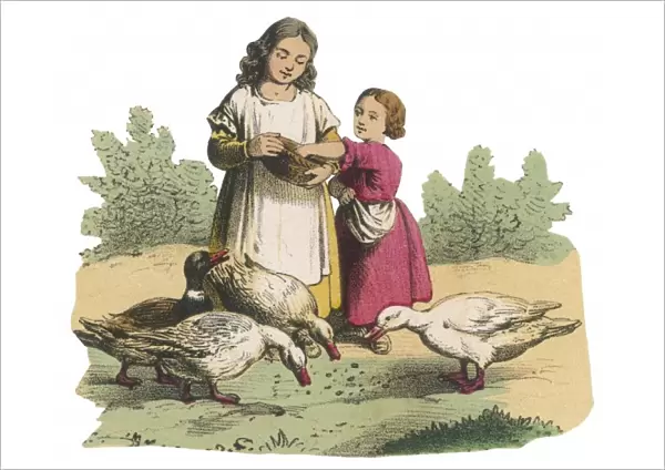 Girls Feed Ducks C1850