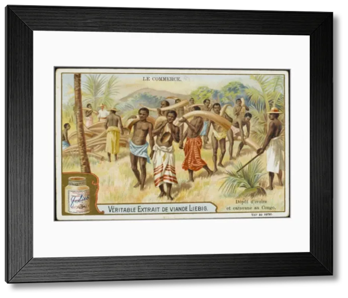 Framed Print : Ivory Tusks / Congo / C19Th Framed Print : Ivory Tusks / Congo / C19Th