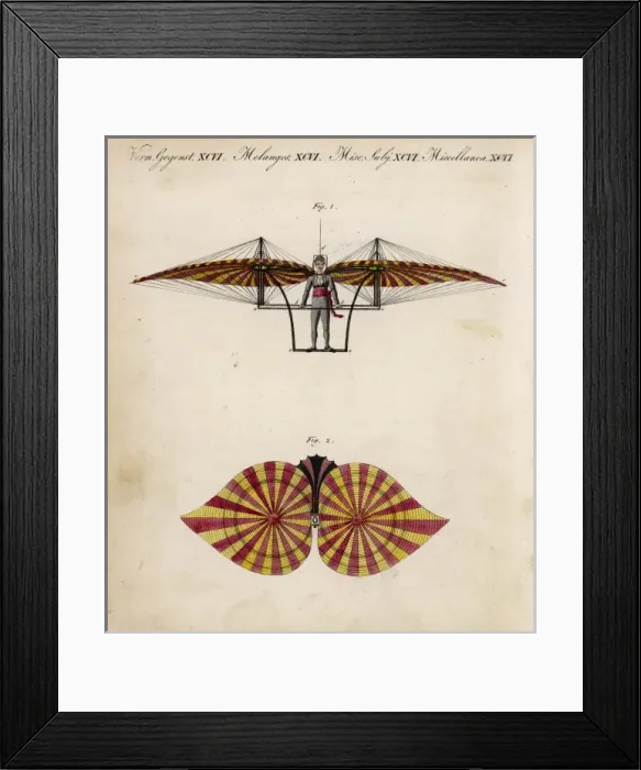 Framed Print : Degens Design / Colour Framed Print : Degens Design / Colour